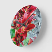 Stargazer Lily Ronde Klok (Hoek)