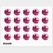 Stargazer Lily Ronde Sticker (Vel)