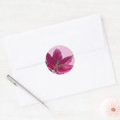 Stargazer Lily Ronde Sticker (Envelop)