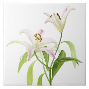 Stargazer Lily Tegeltje