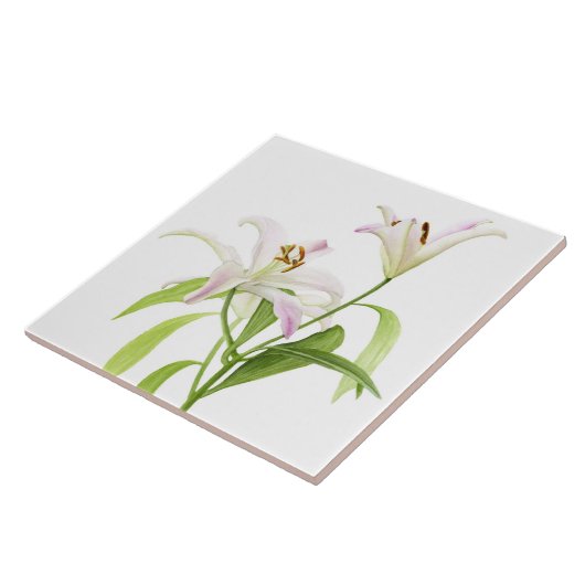 Stargazer Lily Tegeltje (Zijkant)