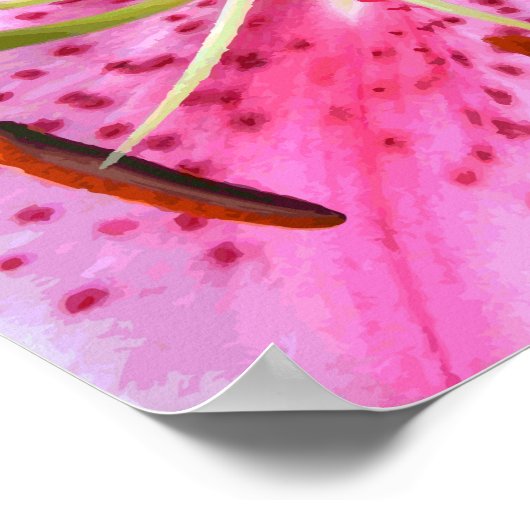 Stargazer Lily Waterverf Fine Floral Poster (Hoek)