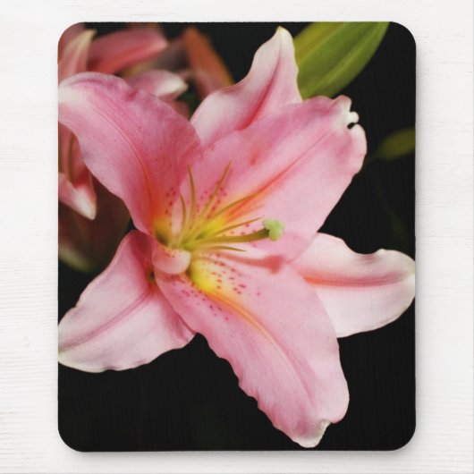 "Stargazer"-Muismatten Muismat (Voorkant)