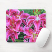 Stargazer Oriental Lilies Muismat (Met muis)