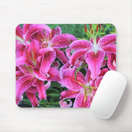 Stargazer Oriental Lilies Muismat (Met muis)