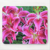 Stargazer Oriental Lilies Muismat (Voorkant)