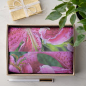 Stargazer Oriental Lilies, volle bloemen Tissuepapier (Geschenk)