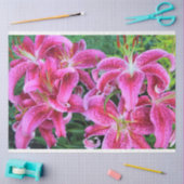 Stargazer Oriental Lilies, volle bloemen Tissuepapier (Craft)