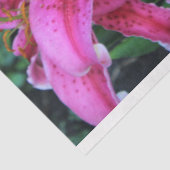 Stargazer Oriental Lilies, volle bloemen Tissuepapier (Detail)