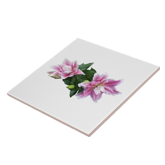 Stargazer-orientale leugens tegeltje (Zijkant)