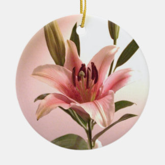 Stargazer Ornament