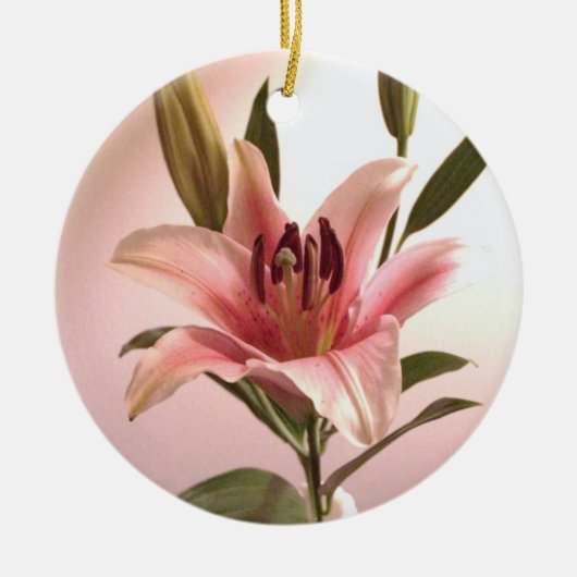 Stargazer Ornament (Voorkant)