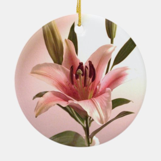 Stargazer Ornament (Achterkant)