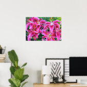 Stargazer Pink Oriental Late Summer Lilies Poster (Thuiskantoor)