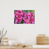 Stargazer Pink Oriental Late Summer Lilies Poster (Keuken)