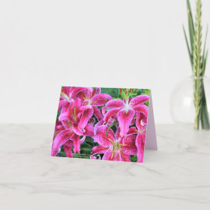 Stargazer Pink Oriental Liliers Note-kaarten Kaart