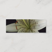 Stargazer Profile Card Mini Visitekaartje (Achterkant)