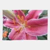 Stargazer Theedoek (Horizontaal)