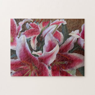 Stargazers-1 Legpuzzel