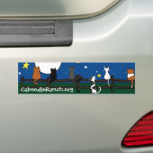 'Stargazing'-Bumpersticker Bumpersticker (Op auto)