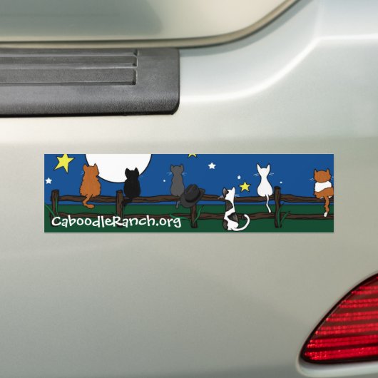 'Stargazing'-Bumpersticker Bumpersticker (Op auto)