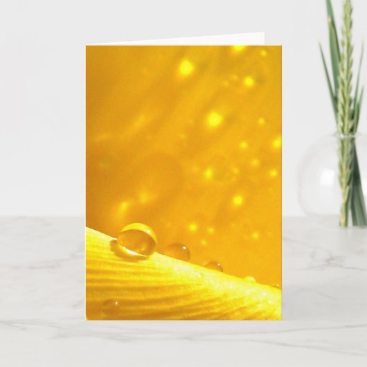 Stargazing Dew Drops, verhalen in Natuur poëzie Kaart (Voorkant)