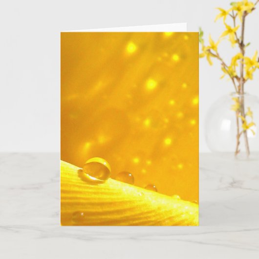 Stargazing Dew Drops, verhalen in Natuur poëzie Kaart (Gele Bloem)