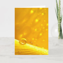 Stargazing Dew Drops, verhalen in Natuur poëzie Kaart