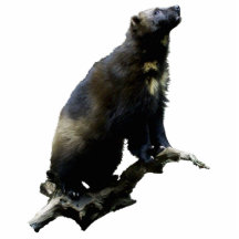 Stargazing van Wolverine Foto Sculpture