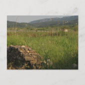 Stari Afstudeerder Plain Briefkaart (Voorkant)