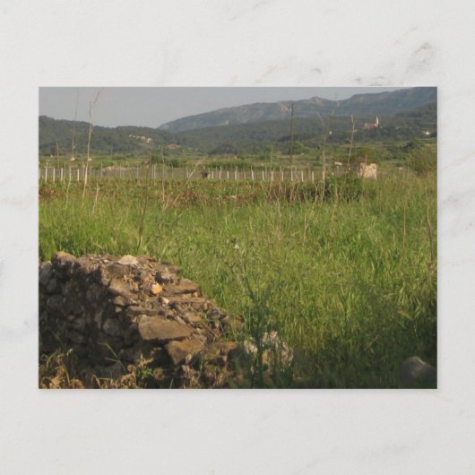 Stari Afstudeerder Plain Briefkaart (Voorkant)