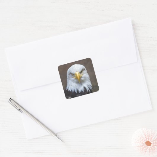 Staring Bald Eagle Vierkante Sticker (Envelop)