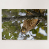 Staring Bird, Tropische Belize Roadside Hawk Legpuzzel (Horizontaal)