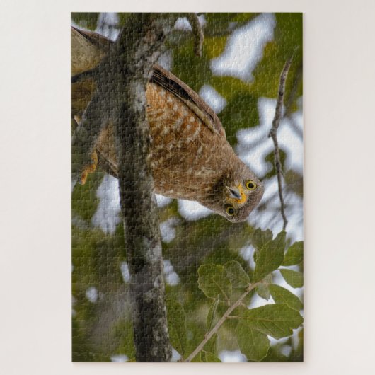 Staring Bird, Tropische Belize Roadside Hawk Legpuzzel (Verticaal)