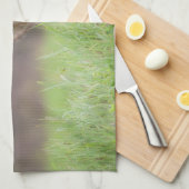 Staring bruine coyote fotografie, op een veld theedoek (Quarter Fold)