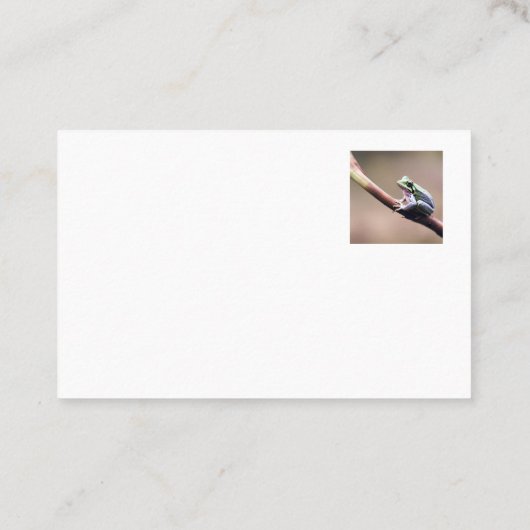 Staring Frog visitekaartje (Achterkant)