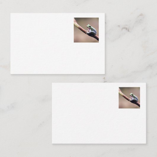 Staring Frog visitekaartje (Voorkant / Achterkant)