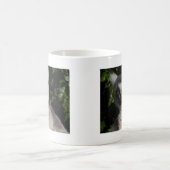 Staring Lemur Koffiemok (Center)