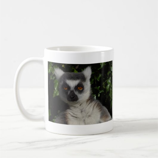 Staring Lemur Koffiemok (Links)