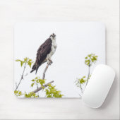Staring Osprey Muismat (Met muis)