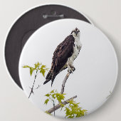 Staring Osprey Ronde Button 6,0 Cm (Voorkant /achterkant)