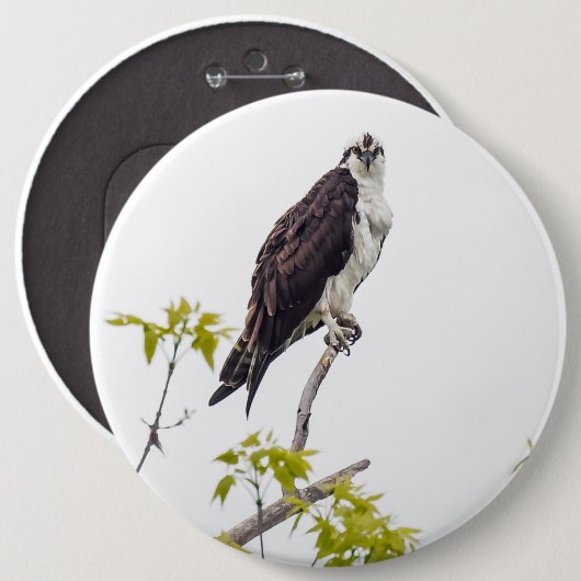 Staring Osprey Ronde Button 6,0 Cm (Voorkant /achterkant)