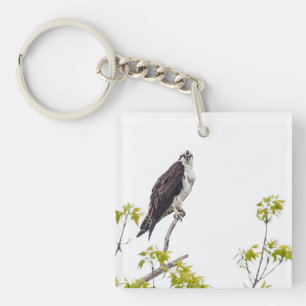 Staring Osprey Sleutelhanger