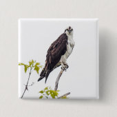 Staring Osprey Vierkante Button 5,1 Cm (Voorkant)