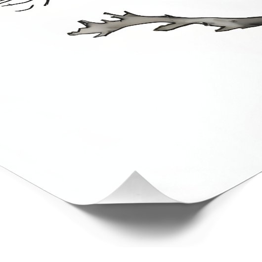 Stark Beauty: Zwart-wit Tree Wall Art Foto Afdruk (Hoek)