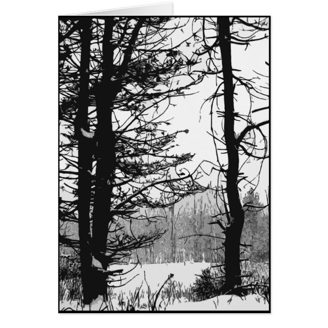 Stark Winter Day (Voorkant)