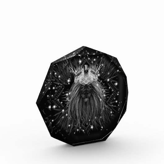 Starlight-leeuw met kroonmonogram fotoblokken (Links)