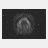 Starlight-leeuw met kroonmonogram inpakpapier vel (Voorkant 2)