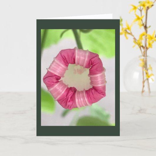 Starlight Mint Morning Glory Blank Kaart (Gele Bloem)