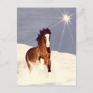 Starlight Run Briefkaart